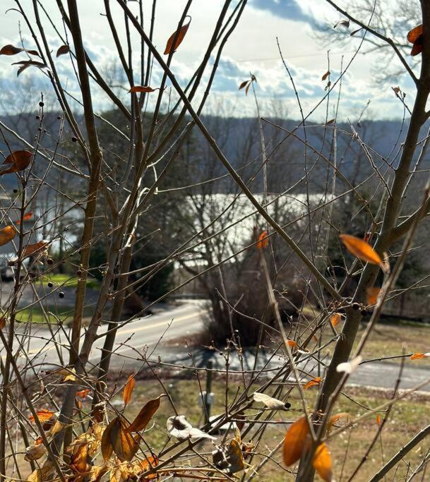 Driftwood Cottage With Hot Tub On Lake Cumberland Russell Springs Exteriör bild